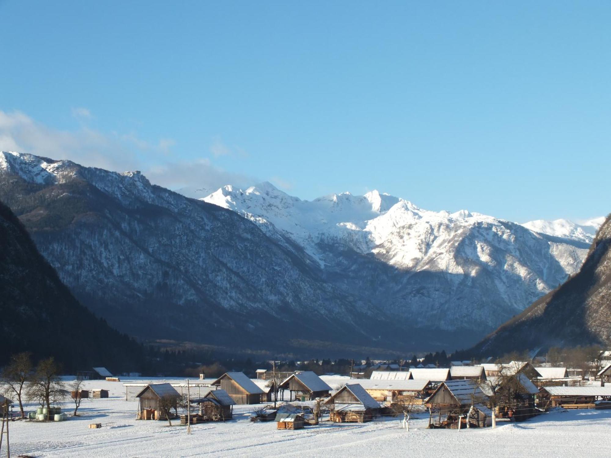 Apartment Tina Bohinj Rum bild